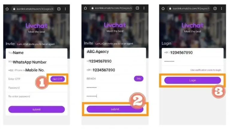 LivChat Agency Process
