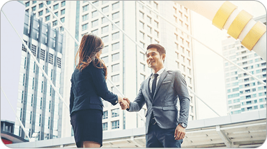 Agent Partnership